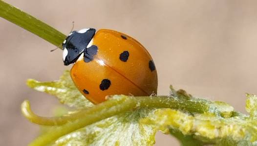 Notre nouvelle gamme BIO