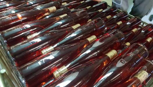 Salons et manifestations 2025