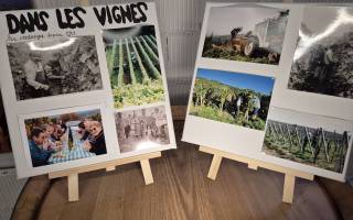 Les 40 ans du Domaine