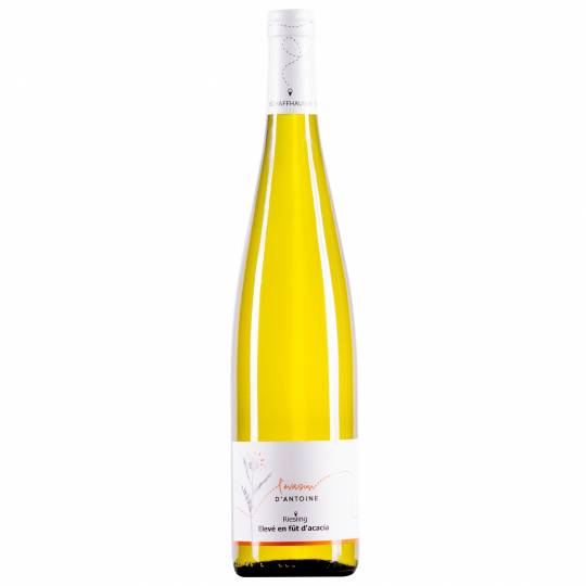 Riesling Elevé en barrique d'acacia - 2023