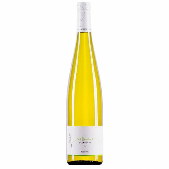 Riesling Bio - 2023