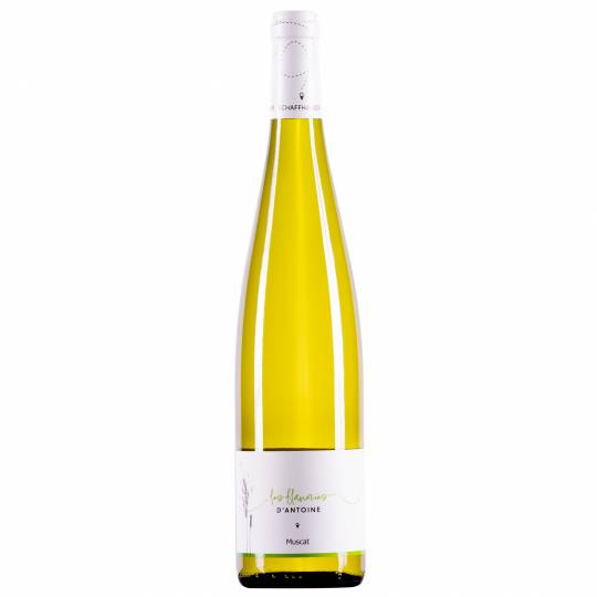 Muscat Bio - 2025